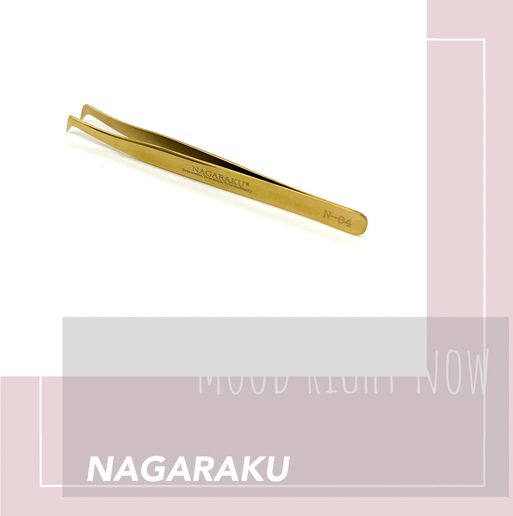 PINZA N-04 NAGARAKU