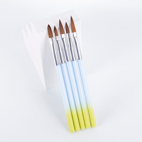SET DE PINCELES PARA GEL, COLOR DEGRADADO X5 UNID BY-1276
